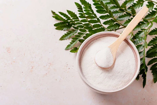 Benefits of Resveratrol Powder