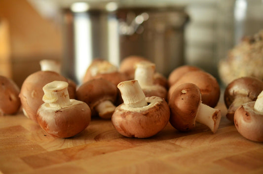 Foods High in Spermidine