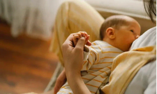 Berberine While Breastfeeding: Is It Safe for Nursing Mothers?