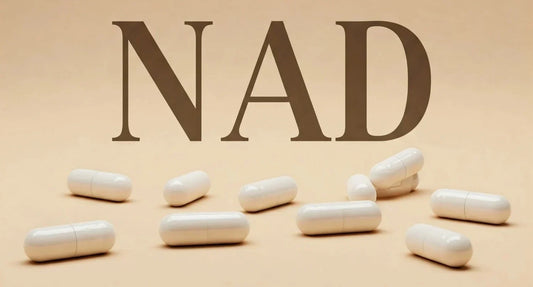What Is NAD Stand For? Acronym & Meaning Explained
