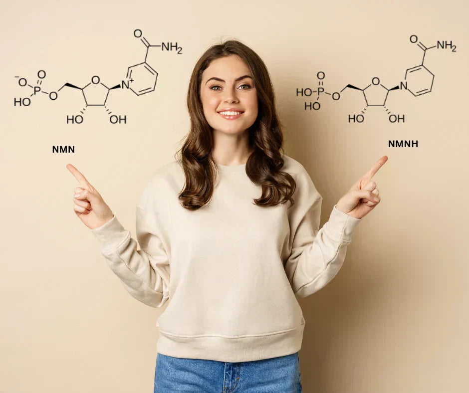 What Are NMN and NMNH