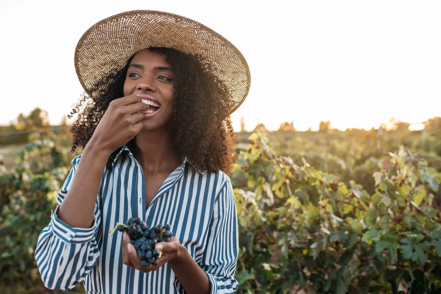 Foods that Contain Resveratrol