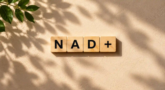 NAD Before and After: What Results Can You Realistically Expect?