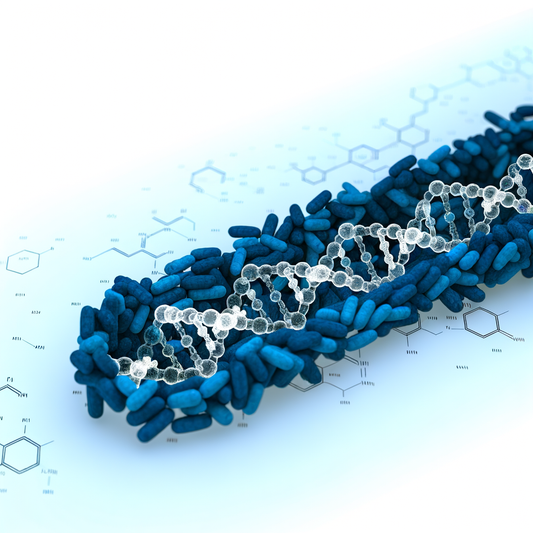 Best longevity supplement for doctors and nurses: Surviving 12-Hour Shifts