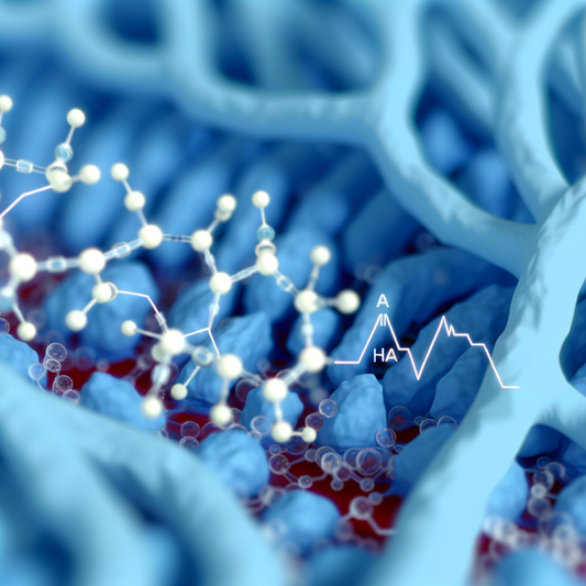 Best NMN for improving vascular health: Nitric Oxide Support