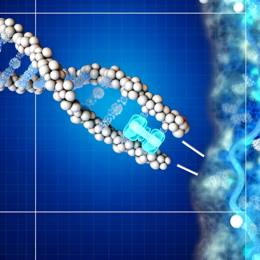 Best NAD booster for preventing jet lag: Travel Hacking Your Clock