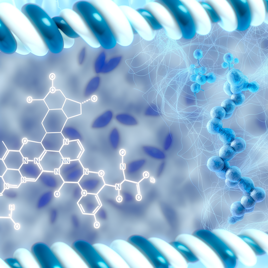 Best resveratrol for blood pressure management: Hypertension Support