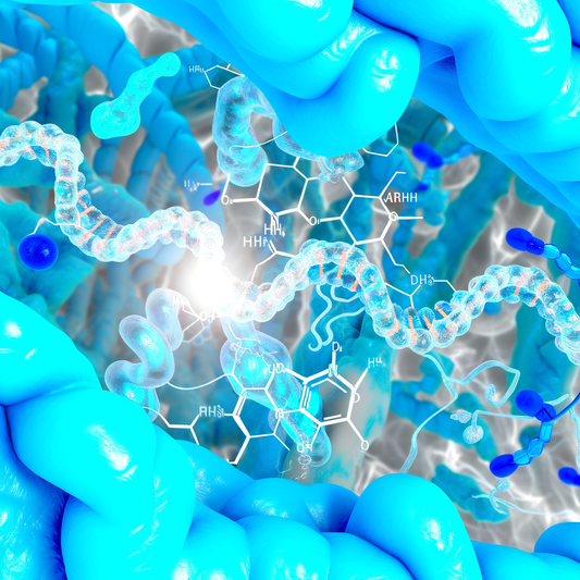 Best resveratrol for vivid dream recall: REM Cycle Support