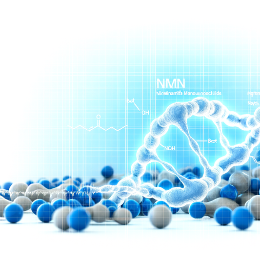 Best NMN for reducing recovery time between workouts: Train More Often