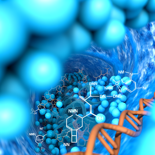 Best NMN for PMS mood swings: Cycle Harmony