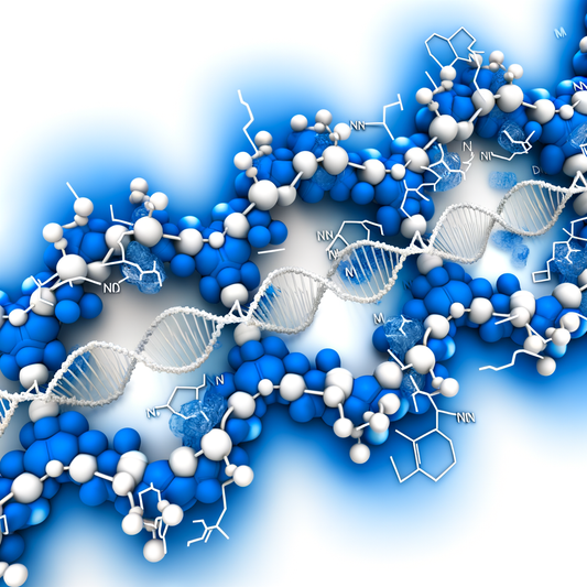 Best NMN for fertility support: Conception Guide