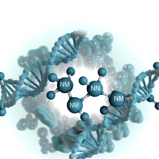 Best NMN for heavy metal detox support: Chelation Aid