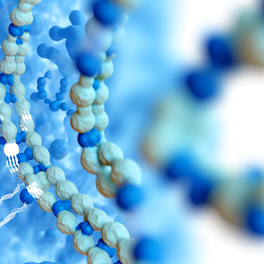 Best NMN for water retention: Bloat Reduction