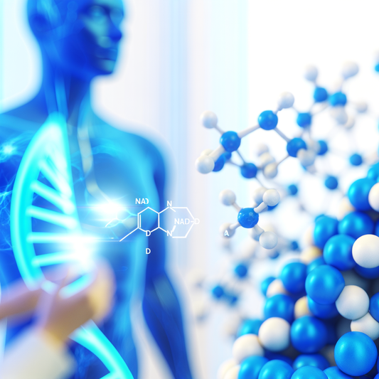 Best NAD supplement for landscapers: Outdoor Stamina