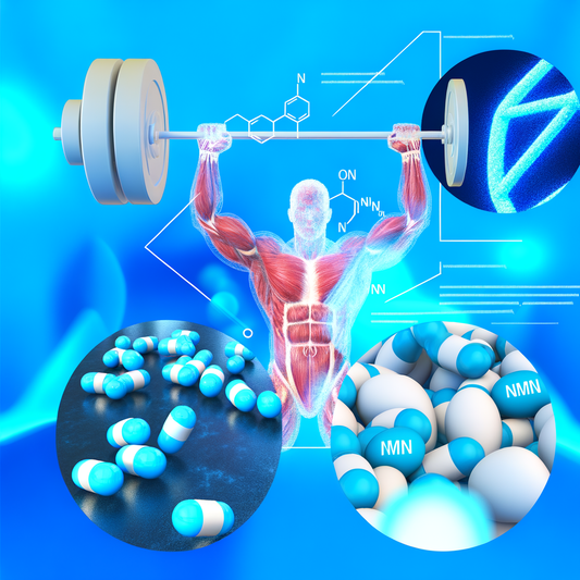 Best NMN resveratrol for weightlifting over 50: Senior Gains