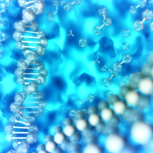 Best resveratrol for chemical sensitivity: Toxic Load Support