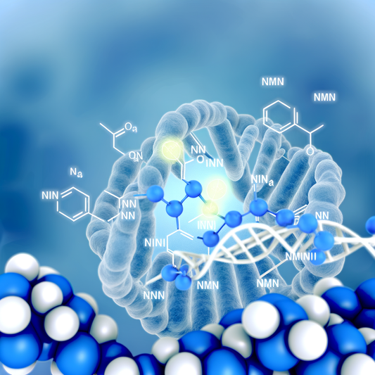 Best NMN resveratrol for genetic longevity optimizers: DNA Repair Support