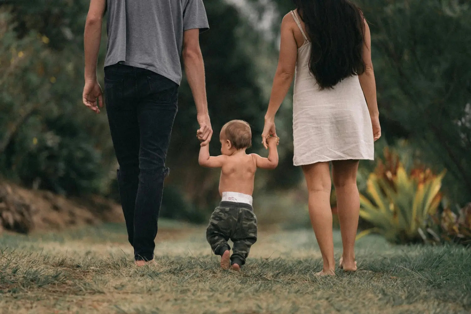 Role of Maternal Influence on Longevity