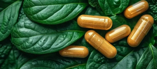 Which NMN Supplement is better?