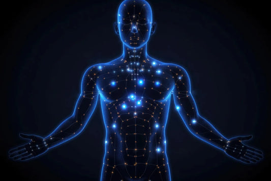 Cellular energy production