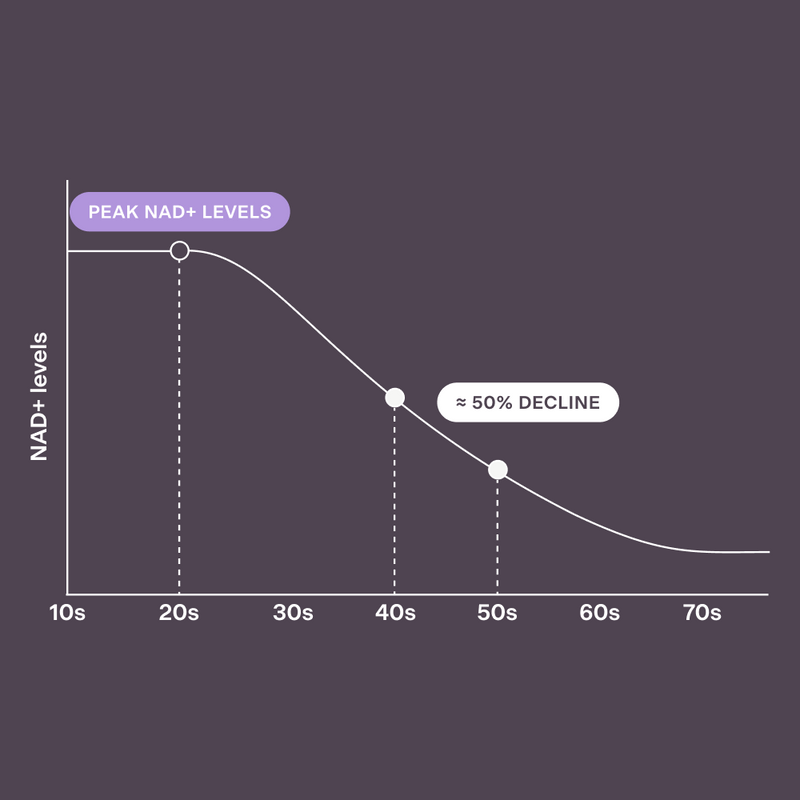 Meet NAD+: The Molecule Helping Power Your Mental Edge