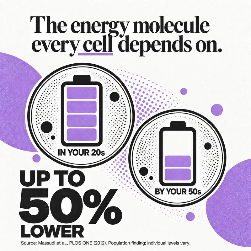 A Key Energy Molecule Has Quietly Dropped by Up to 50%